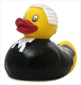 DUCK - LAWYER