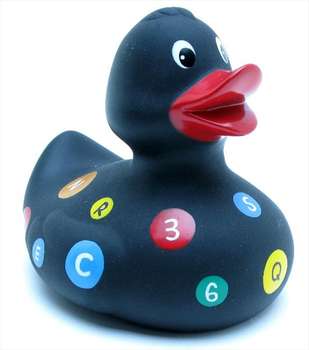 MTA SUBWAY DUCK 2