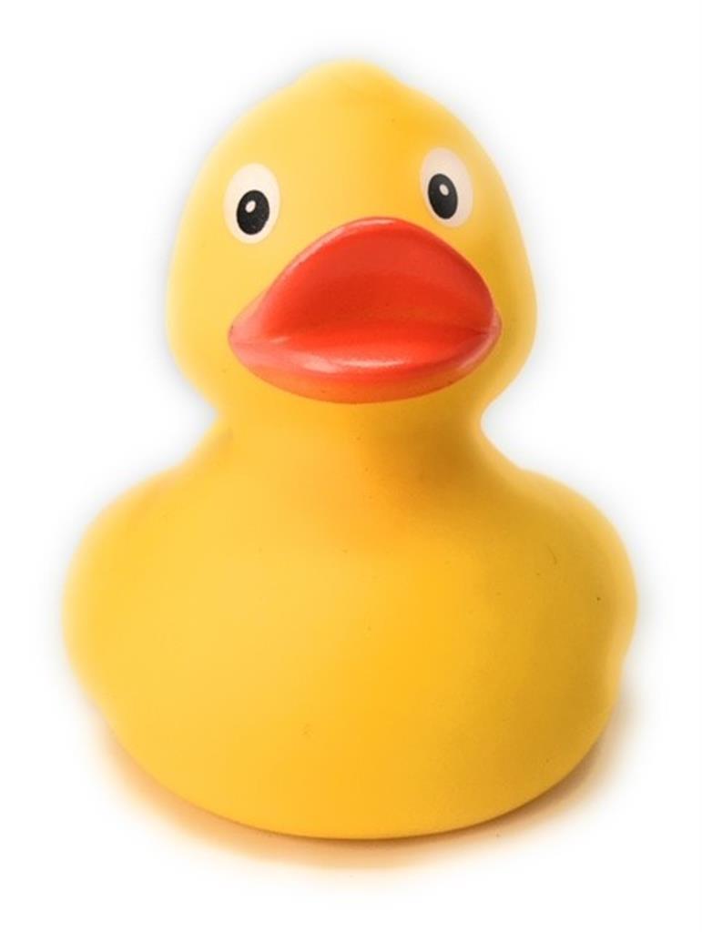 Private label - Plain Yellow Duck (with your logo)