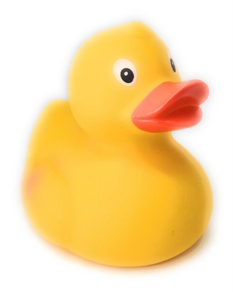 Duck image