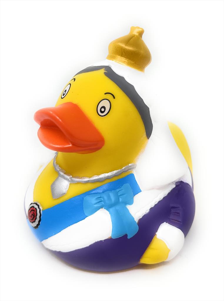 Duck image